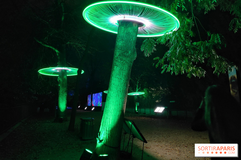 En voie d'illumination : Lumières de la nature : le festival nocturne hivernal du Jardin des Plantes - fotor 1762431293928