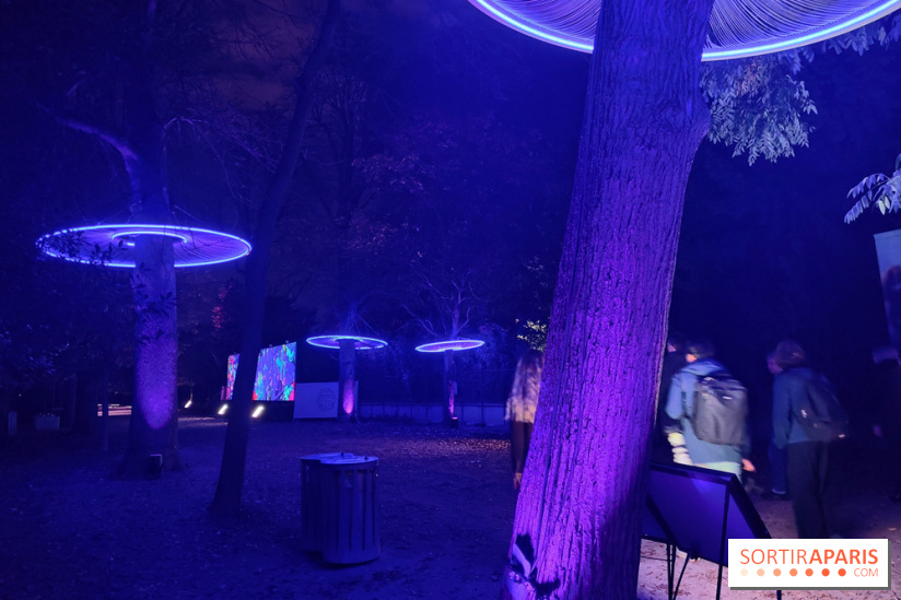 En voie d'illumination : Lumières de la nature : le festival nocturne hivernal du Jardin des Plantes - fotor 1762431317069