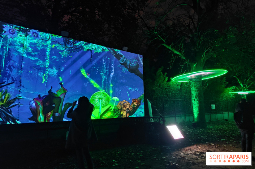 En voie d'illumination : Lumières de la nature : le festival nocturne hivernal du Jardin des Plantes - fotor 1762431340382