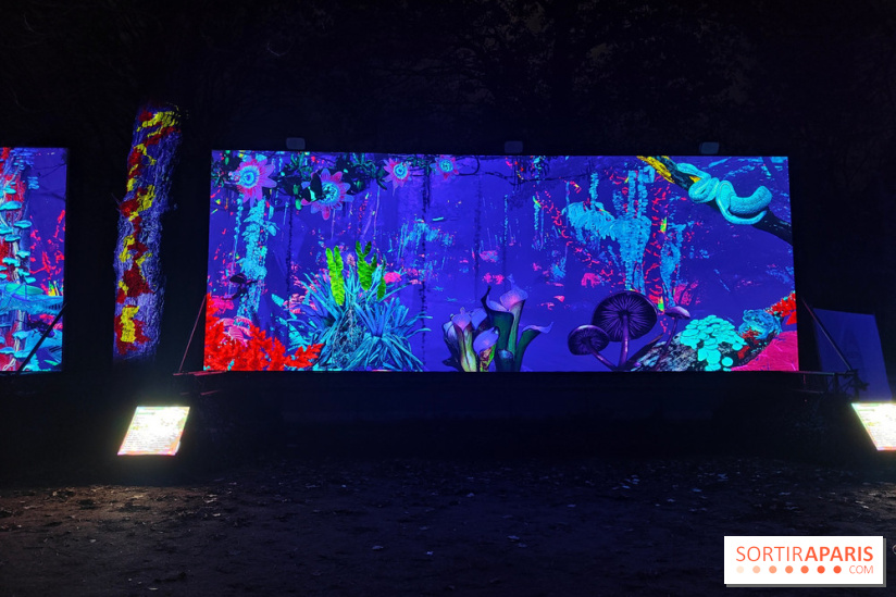 En voie d'illumination : Lumières de la nature : le festival nocturne hivernal du Jardin des Plantes
