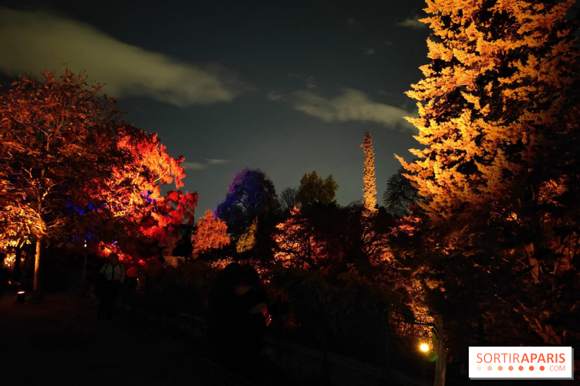 En voie d'illumination : Lumières de la nature : le festival nocturne hivernal du Jardin des Plantes