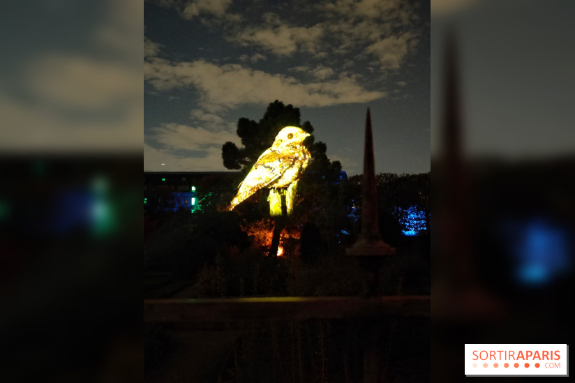 En voie d'illumination : Lumières de la nature : le festival nocturne hivernal du Jardin des Plantes - fotor 1762431389482