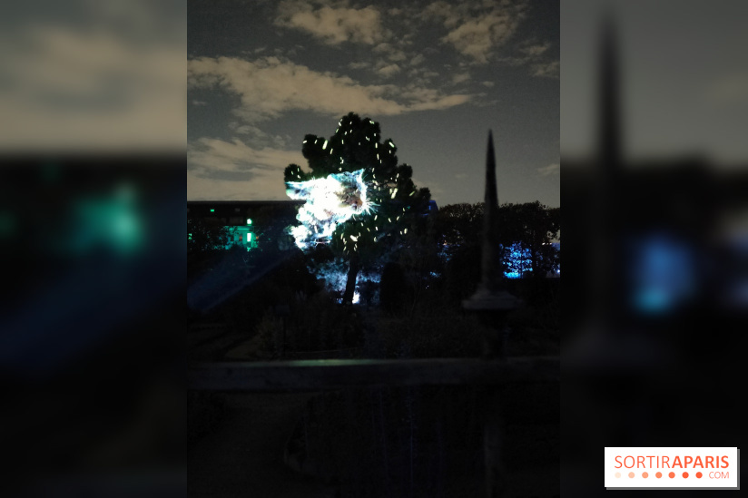 En voie d'illumination : Lumières de la nature : le festival nocturne hivernal du Jardin des Plantes - fotor 1762431417421