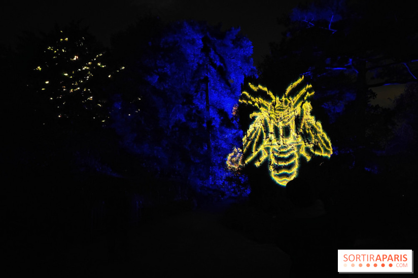 En voie d'illumination : Lumières de la nature : le festival nocturne hivernal du Jardin des Plantes - fotor 1762431441677