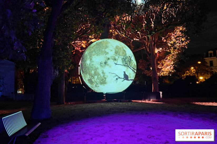 En voie d'illumination : Lumières de la nature : le festival nocturne hivernal du Jardin des Plantes - fotor 1762431759366