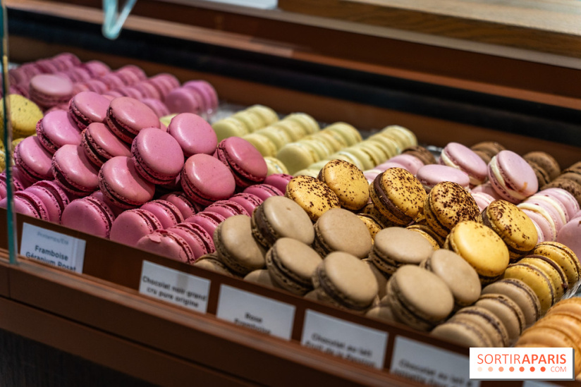 Bûches de Noël du jardin Sucré 2025 - A7C09337