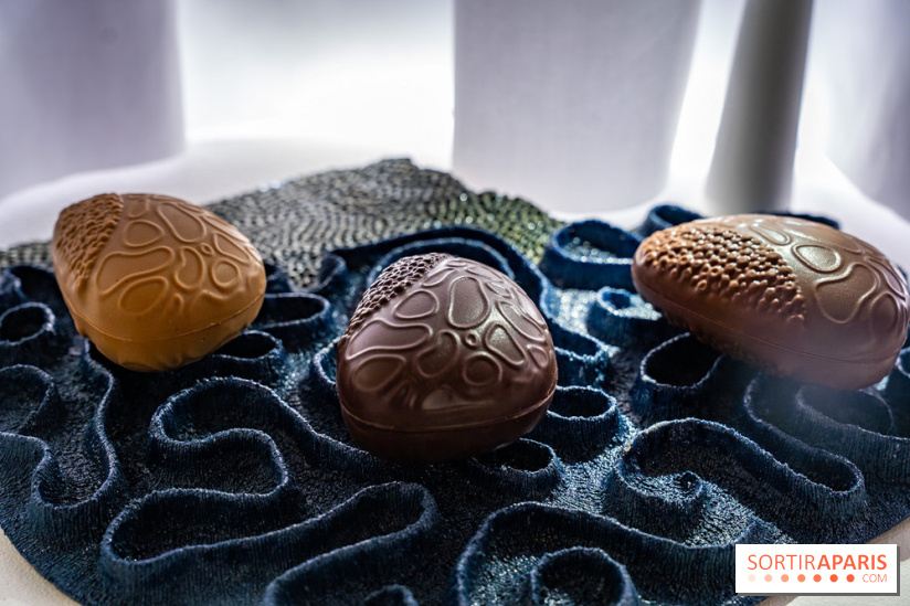 Bûches de Noël et créations de fête 2025 de Pierre Hermé : les Abysses - A7C07844