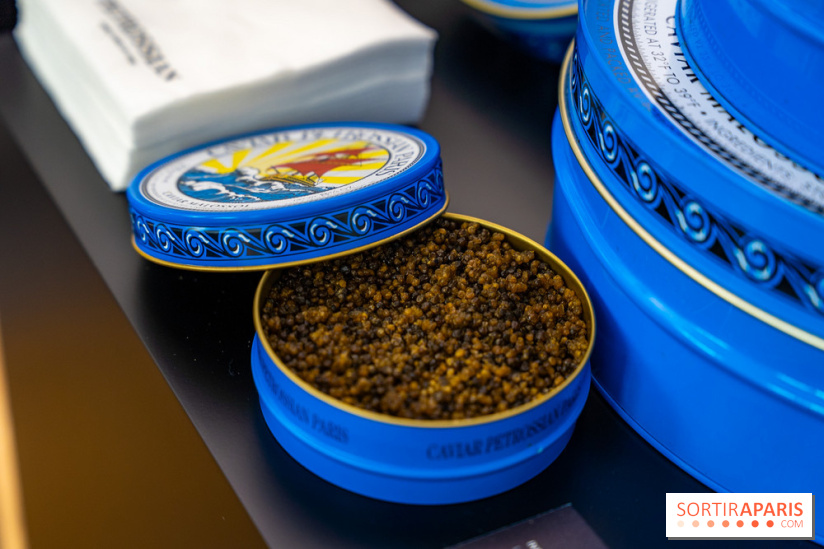 Bûche de Noël Opéra Garnier de la Maison du Chocolat 2025 - photos - A7C07788