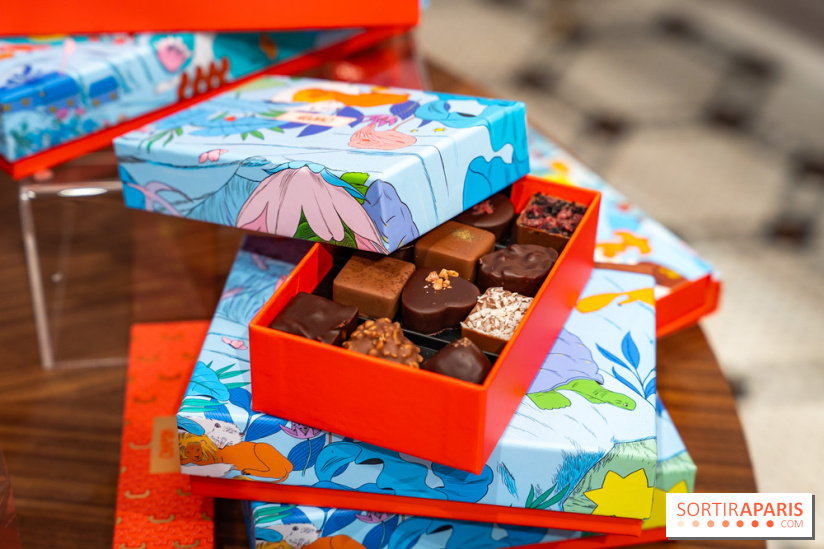 Bûche de Noël et créations de fête de Chapon 2025 - A7C07437