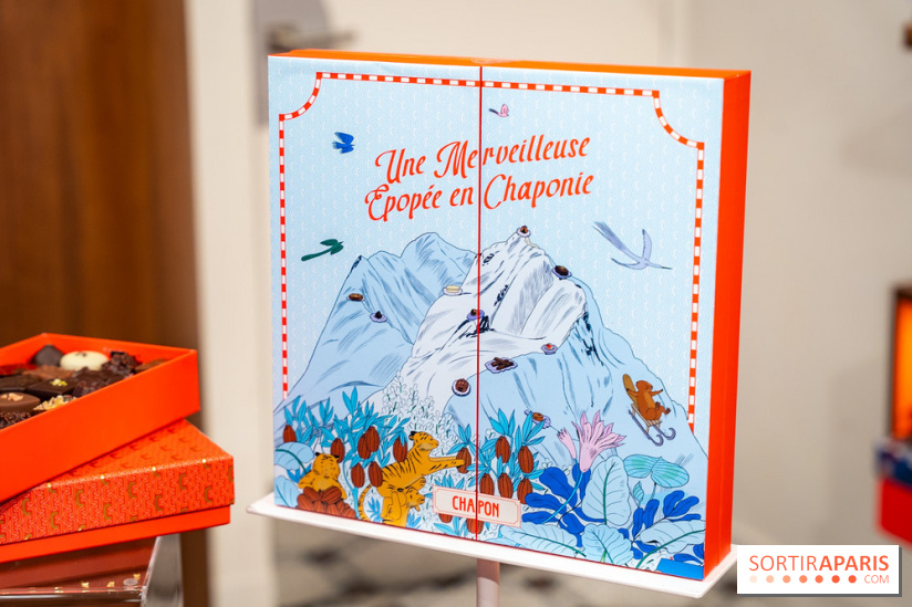 Bûche de Noël et créations de fête de Chapon 2025 - A7C07438