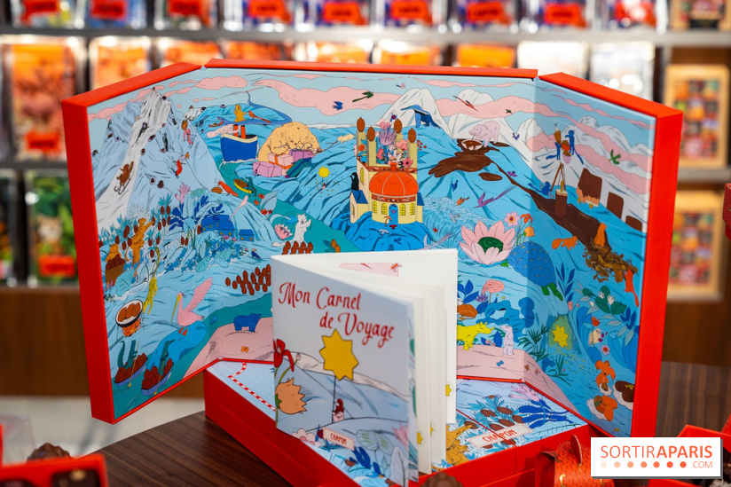 Bûche de Noël et créations de fête de Chapon 2025 - A7C07439