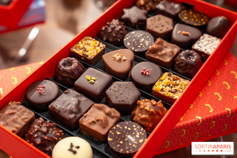 Bûche de Noël et créations de fête de Chapon 2025 - A7C07441