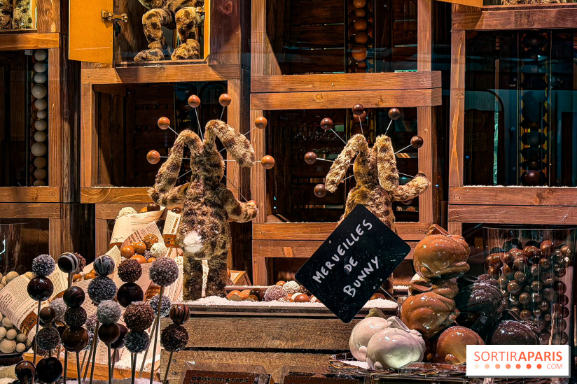 Les vitrines de Noël 2025 du Bon Marché : le grand magasin se métamorphose en (Bon) Marché de Noël - IMG 0726