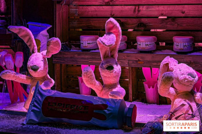 Les vitrines de Noël 2025 du Bon Marché : le grand magasin se métamorphose en (Bon) Marché de Noël - IMG 0755