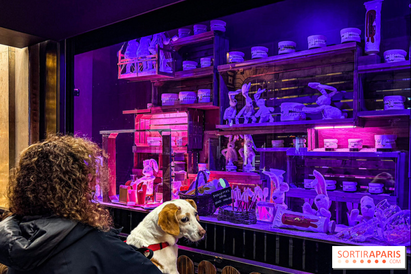 Les vitrines de Noël 2025 du Bon Marché : le grand magasin se métamorphose en (Bon) Marché de Noël - IMG 0762