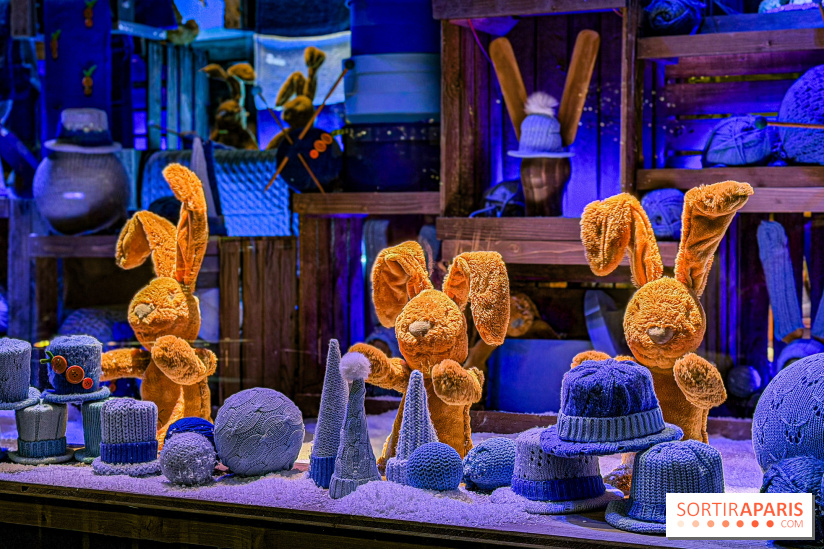 Les vitrines de Noël 2025 du Bon Marché : le grand magasin se métamorphose en (Bon) Marché de Noël - IMG 0782