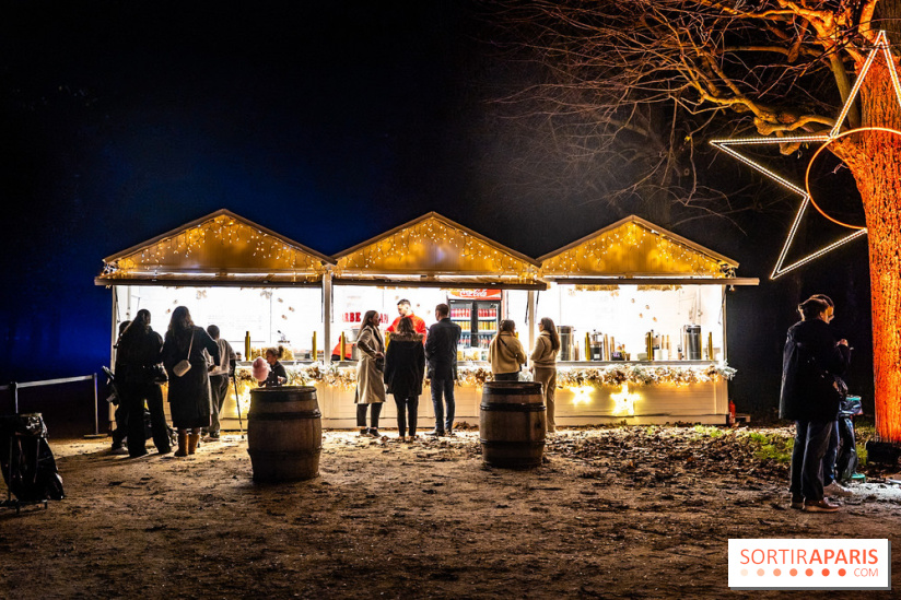 Lumières en Seine 2025, les photos du parcours de lumières - A7C00357