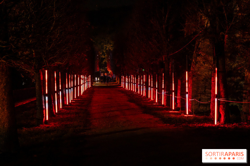 Lumières en Seine 2025, les photos du parcours de lumières - A7C00360