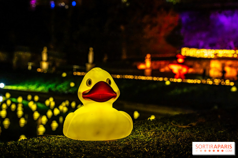 Lumières en Seine 2025, les photos du parcours de lumières - A7C00381