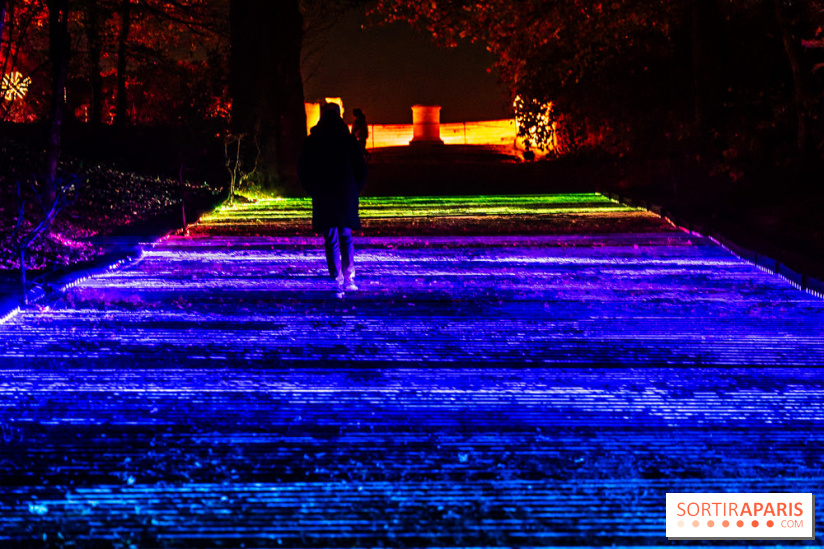 Lumières en Seine 2025, les photos du parcours de lumières