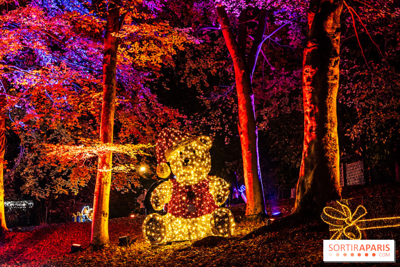 Lumières en Seine 2025, les photos du parcours de lumières - A7C00389