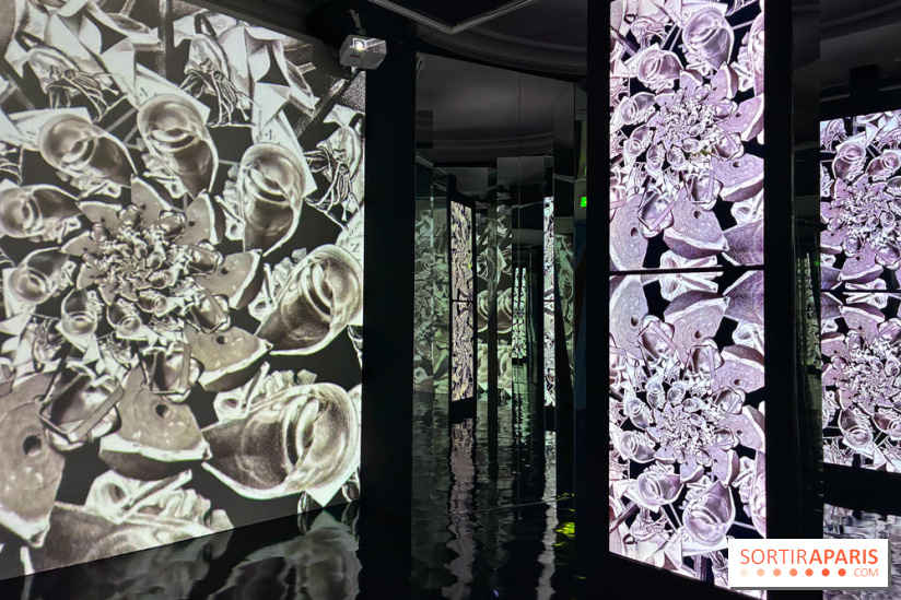 MC. Escher à la Monnaie de Paris - IMG 0843