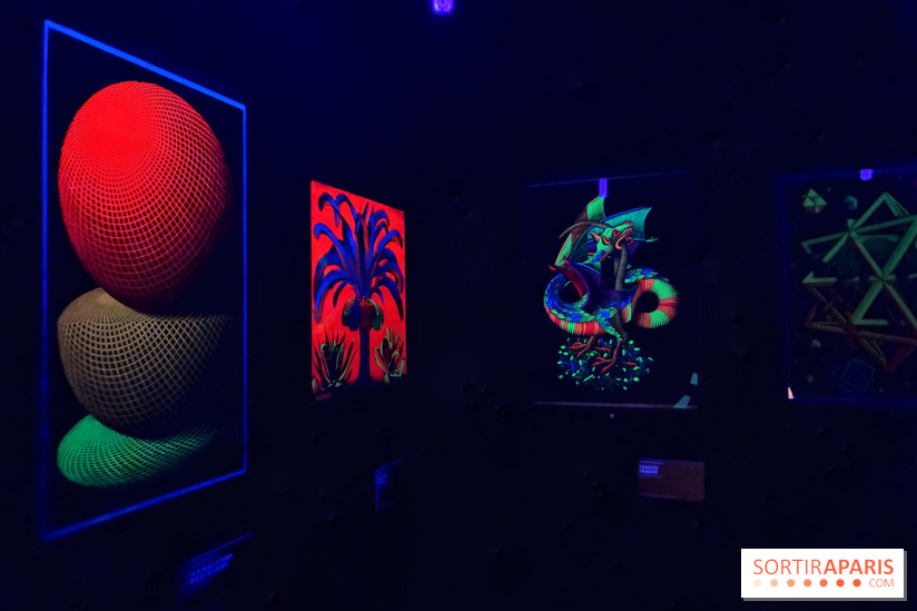 MC. Escher à la Monnaie de Paris - IMG 0879