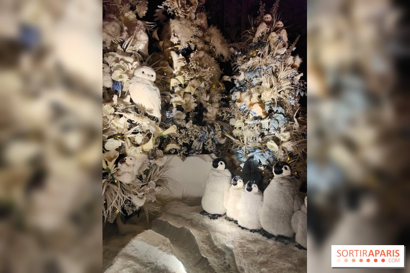 Le Grand Noël 2025 du château de Vaux-le-Vicomte : des décorations magiques pour une balade hivernale mémorable - fotor 1763143898130