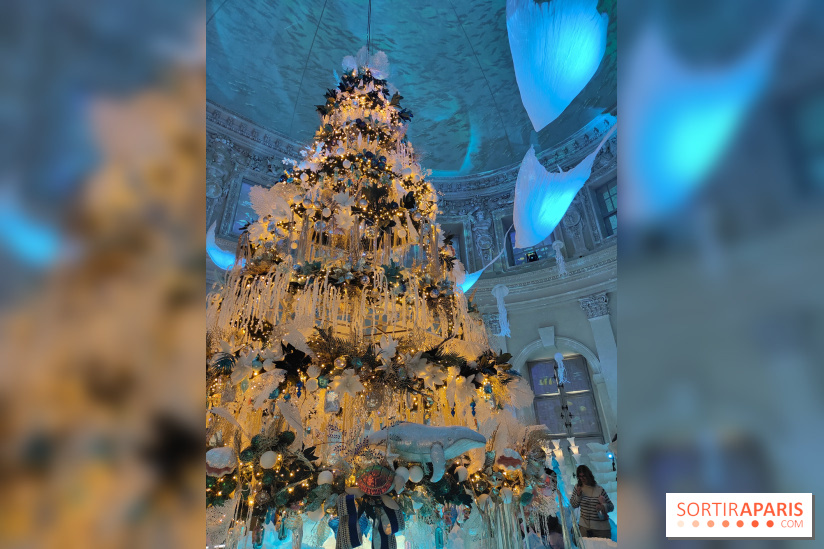 Le Grand Noël 2025 du château de Vaux-le-Vicomte : des décorations magiques pour une balade hivernale mémorable - fotor 1763143654287