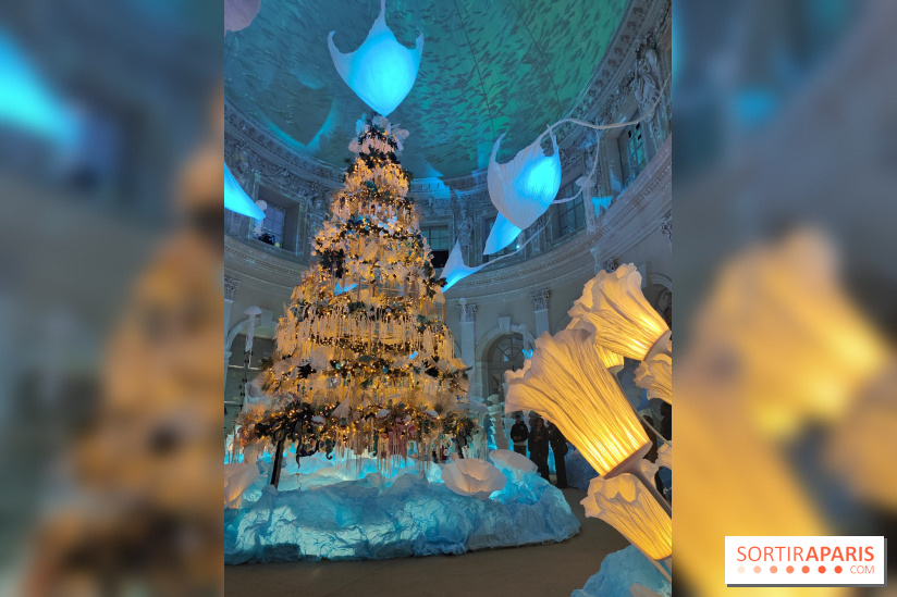 Le Grand Noël 2025 du château de Vaux-le-Vicomte : des décorations magiques pour une balade hivernale mémorable