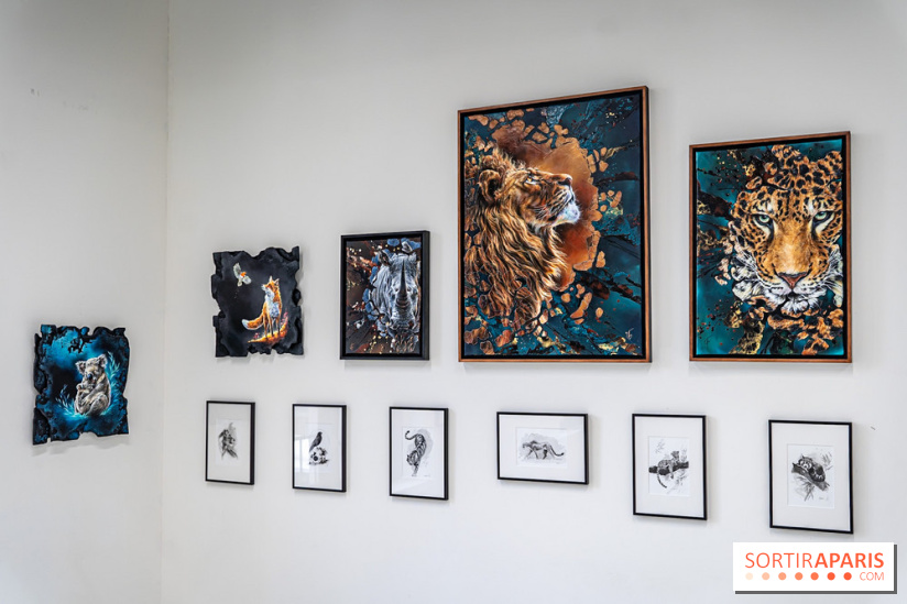 Le Festival Street-art de la Poste du Louvre 2025, les photos - A7C00810