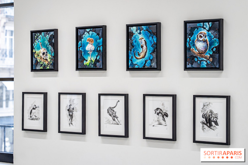 Le Festival Street-art de la Poste du Louvre 2025, les photos - A7C00815