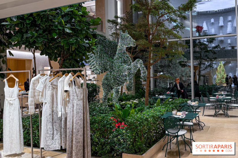 Noël 2025 Dior 30 Montaigne - IMG 1956