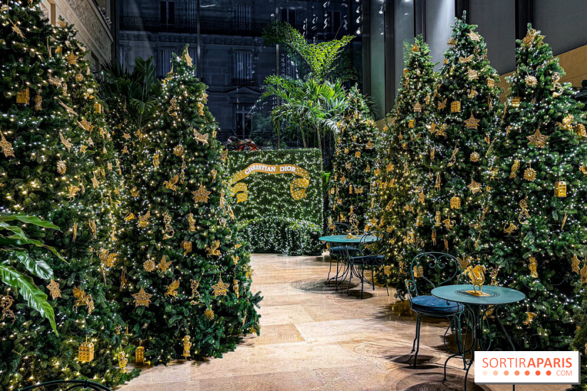 Noël 2025 Dior 30 Montaigne - IMG 1968