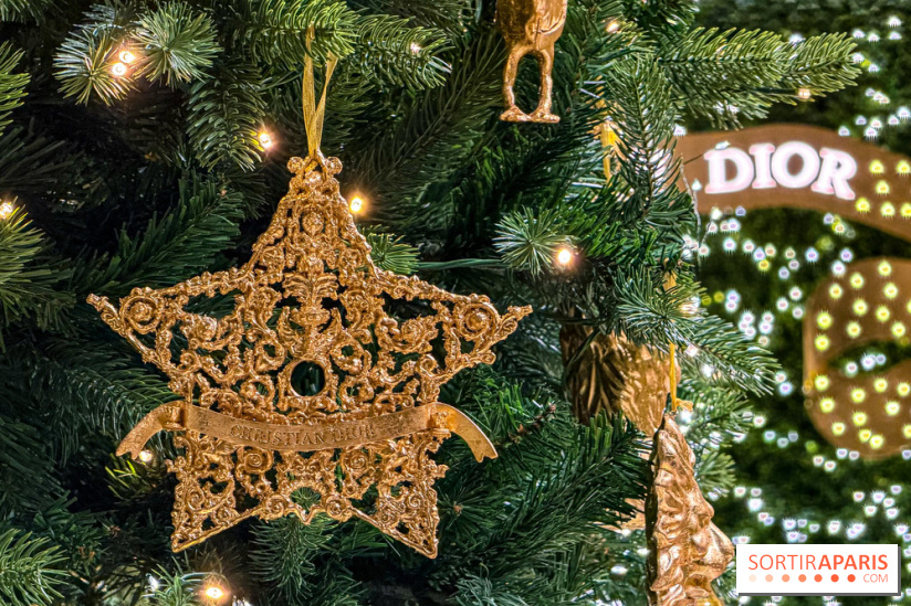 Noël 2025 Dior 30 Montaigne - IMG 1973