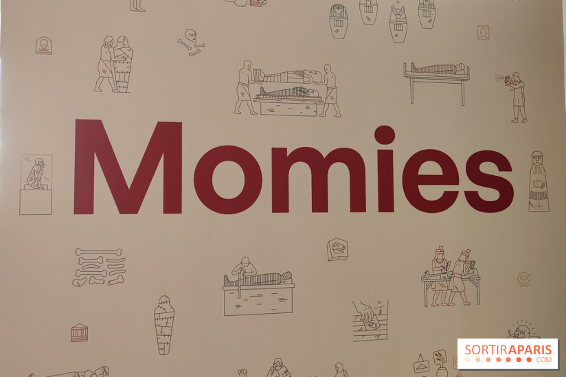 Momies : une exposition insolite et troublante à découvrir au musée de l'Homme