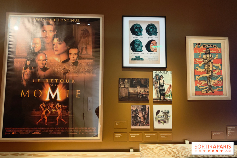 Momies : une exposition insolite et troublante à découvrir au musée de l'Homme