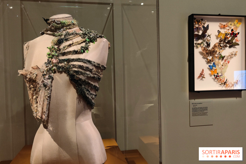 Momies : une exposition insolite et troublante à découvrir au musée de l'Homme - fotor 1763471284495