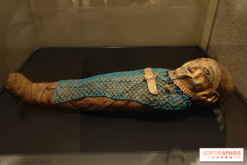 Momies : une exposition insolite et troublante à découvrir au musée de l'Homme