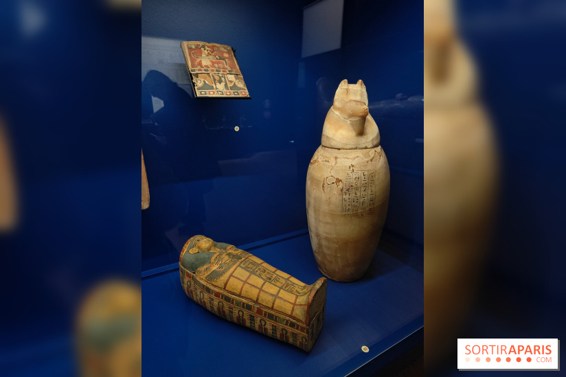 Momies : une exposition insolite et troublante à découvrir au musée de l'Homme - fotor 1763471473324