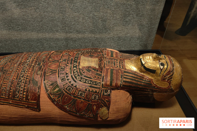 Momies : une exposition insolite et troublante à découvrir au musée de l'Homme - fotor 1763471518273