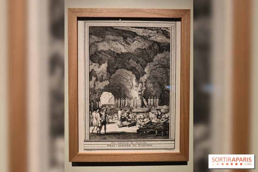 Momies : une exposition insolite et troublante à découvrir au musée de l'Homme - fotor 1763471538840