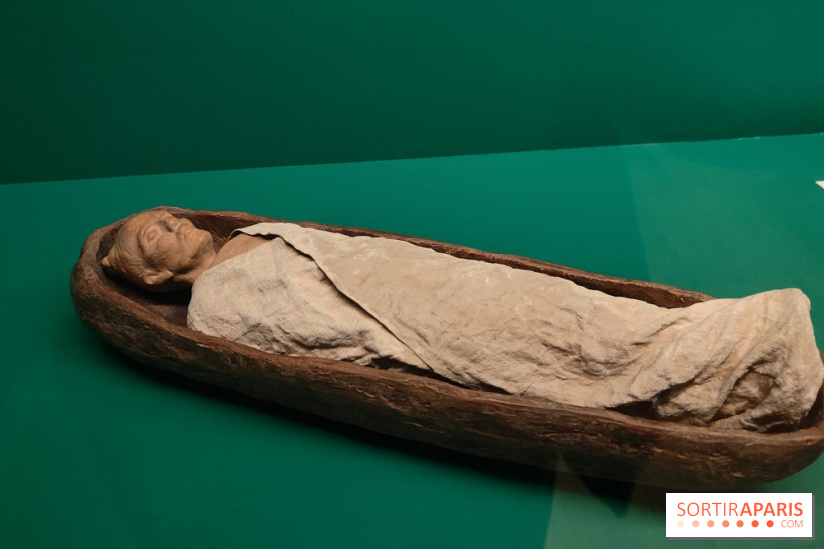 Momies : une exposition insolite et troublante à découvrir au musée de l'Homme - fotor 1763471553968