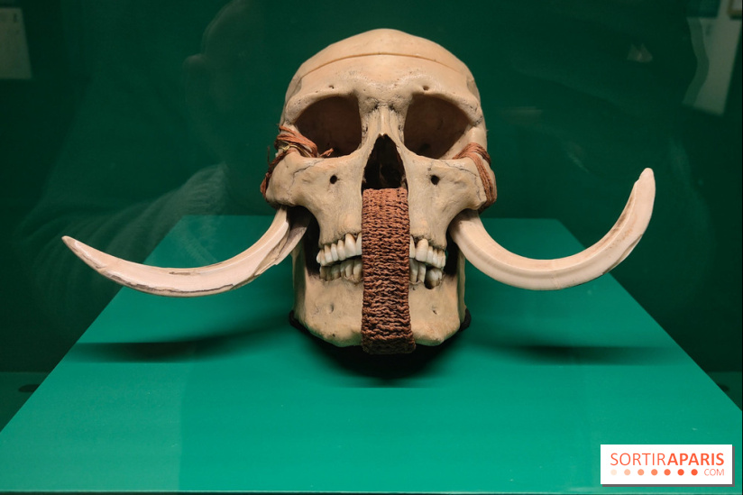 Momies : une exposition insolite et troublante à découvrir au musée de l'Homme - fotor 1763471574922