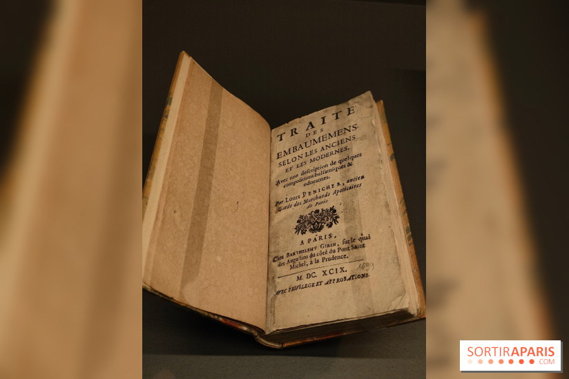 Momies : une exposition insolite et troublante à découvrir au musée de l'Homme - fotor 1763471586629