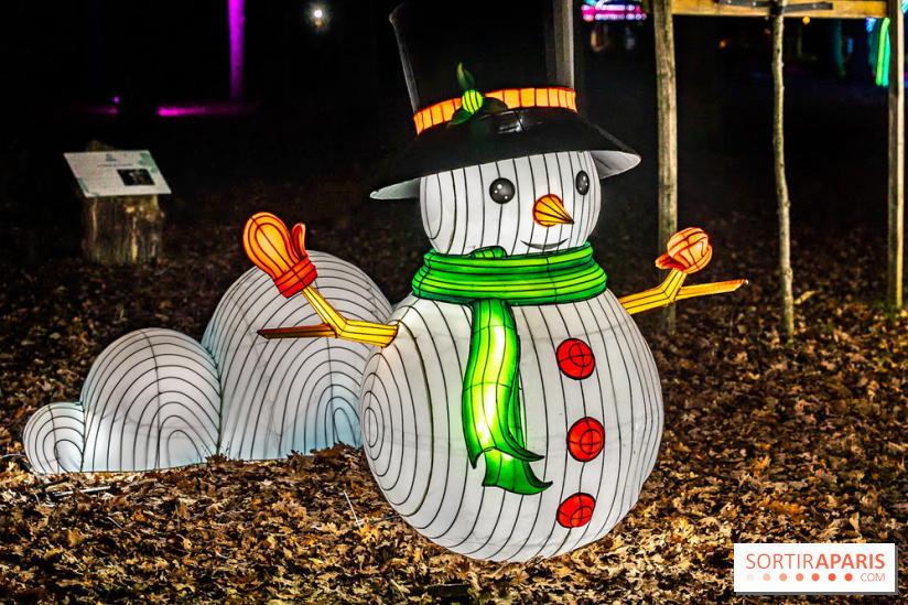 L'Odyssée Lumineuse au Parc Floral 2025, les photos