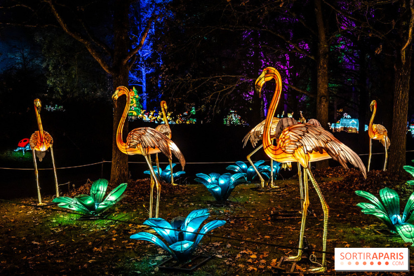 L'Odyssée Lumineuse au Parc Floral 2025, les photos