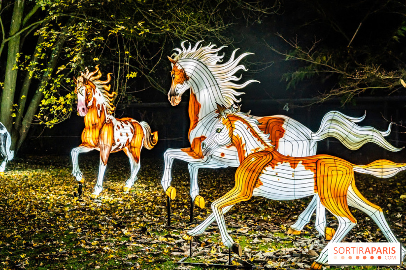 L'Odyssée Lumineuse au Parc Floral 2025, les photos