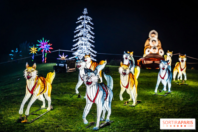 L'Odyssée Lumineuse au Parc Floral 2025, les photos