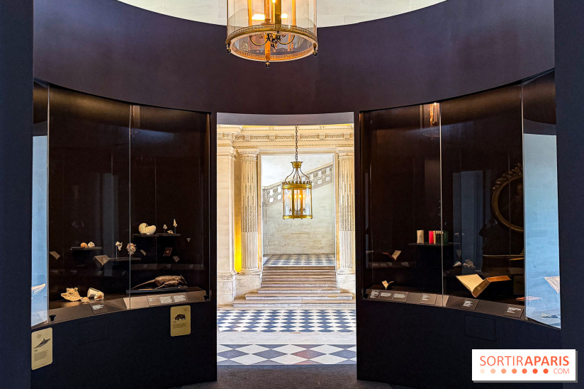 Le comte d’Artois, prince et mécène : l'exposition au Château de Maisons-Laffitte - IMG 2635